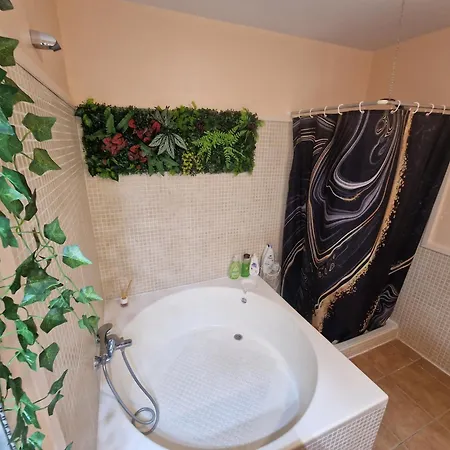 Apartment Biltmore Atico Luxury