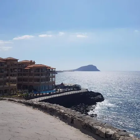 Paloma *