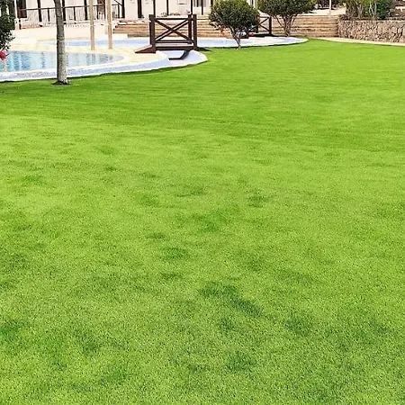 Ocean Sun Y Golf Ii Apartment