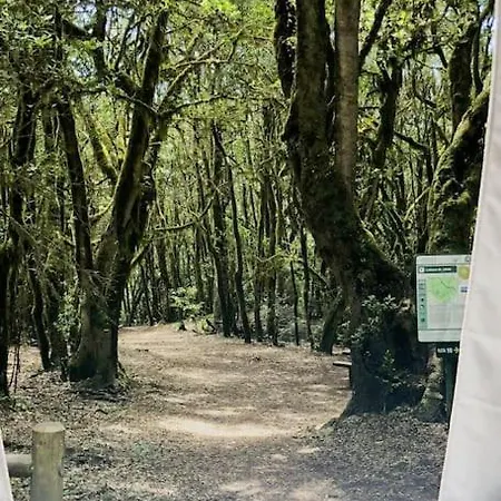Campsite W Discovery Canarias San Miguel de Abona
