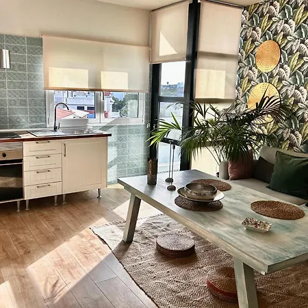 Apartment Paula San Miguel de Abona