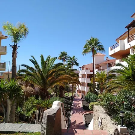 Forest Flat - Big Heated Pool, Terrace, Tv Channels, Golf Courses * San Miguel de Abona