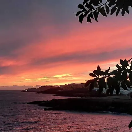 Con Terrazza Soleggiatapiscina Sc788