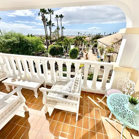 Palms Dream