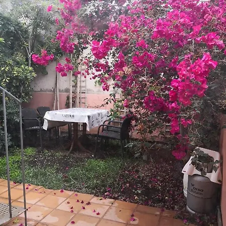 La Flora Apartment San Miguel de Abona