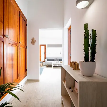 Apartment Cactus