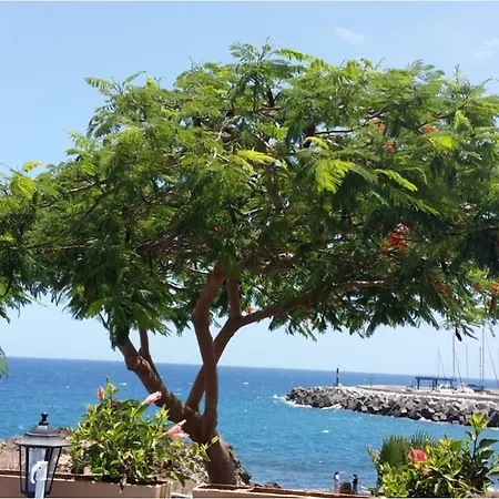 431 - Edif Aguamarina - Vacation In The Coast Line Of Golf Del Sur San Miguel de Abona