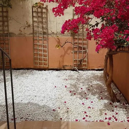 Aparthotel Strelitzia Park San Miguel de Abona