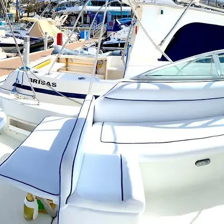 Barco Pita - Amarilla Marina
