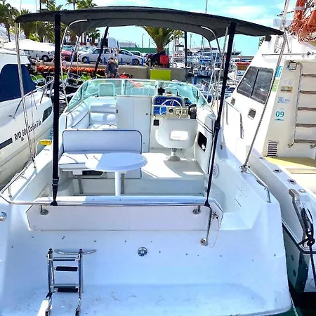 Barco Pita - Amarilla Marina *