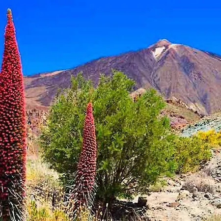 Olle Golf Tenerife Sur Apartment San Miguel de Abona