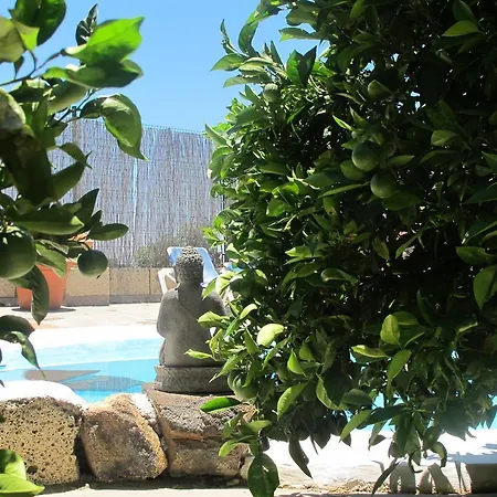 Casas Alberto Teleworking (adults Only) *