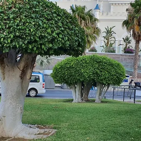 Apartment Avaa San Miguel de Abona