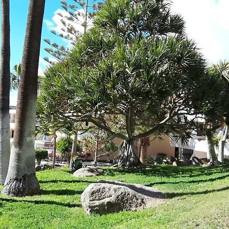Apartment With Pool And Gardens Near The Coast San Miguel de Abona