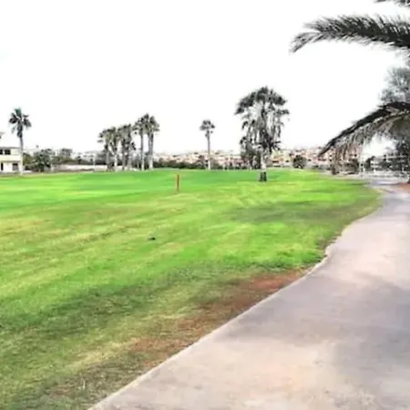 Margarita Amarilla Golf San Miguel de Abona