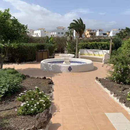 Margarita Amarilla Golf
