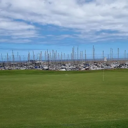 Margarita Amarilla Golf San Miguel de Abona