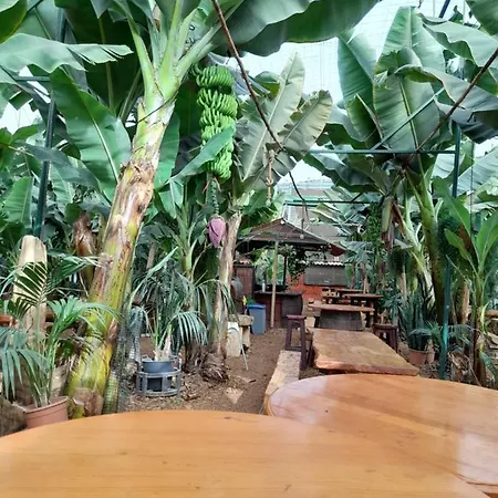 Tenerife Homestay San Miguel de Abona