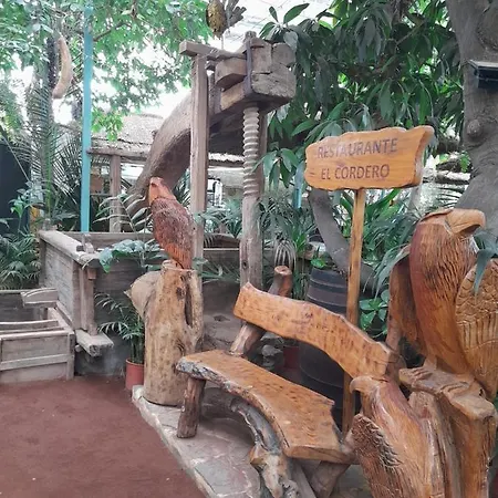 Homestay Tenerife