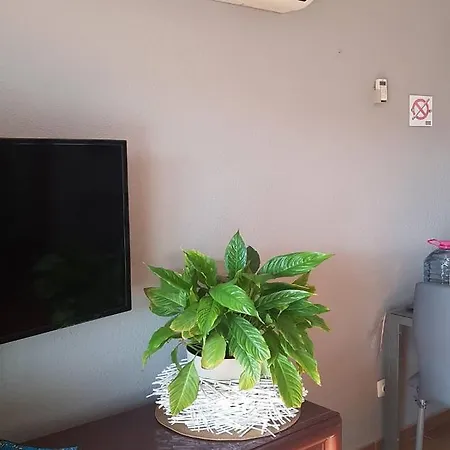 Apartment Zen Garden Golf Del Sur San Miguel de Abona