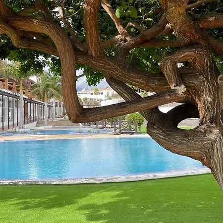 Casa Helen 2 Tenerife Sur Apartment San Miguel de Abona