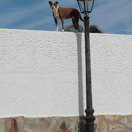 Golf View - Stunning Ocean View Golf Del Sur Apartment