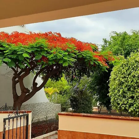 The Palms 2 Bed Duplex With Pool View Apartment
