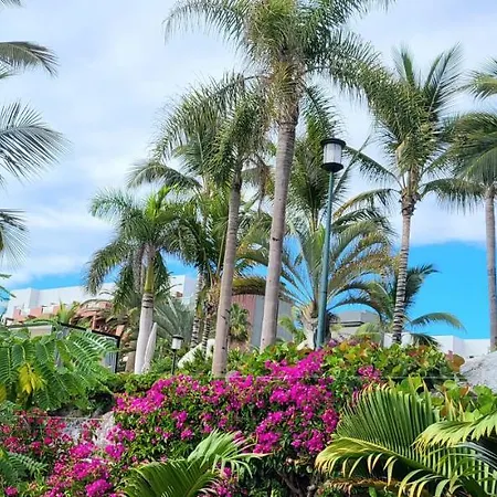 Golf Del Sur Park Albatros Apartment *