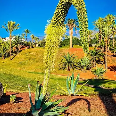 Amarilla Golf *