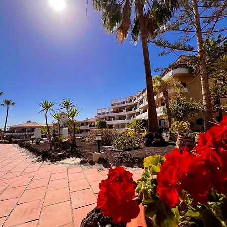 Apartment Hermoso Estudio Parque Albatros San Miguel de Abona