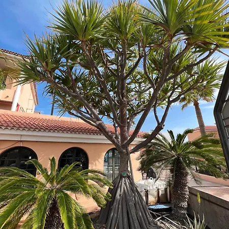 Paz Ocean View, Air Condition, Wifi, Heated Pool Apartment