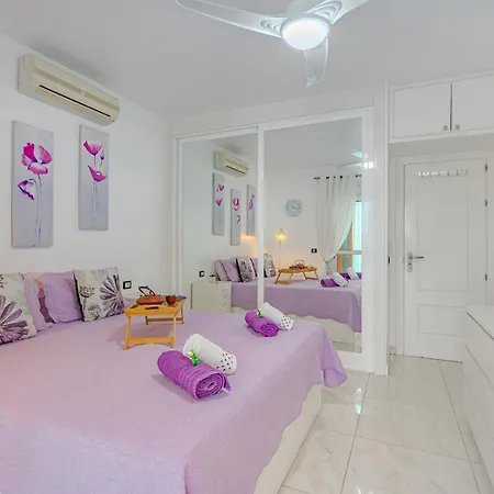 Arenal Comfort