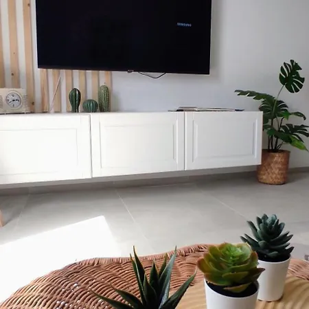 Opuncja Apartment *