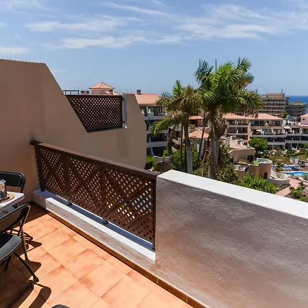 Apartment Albatros 433b In Tenerife South *