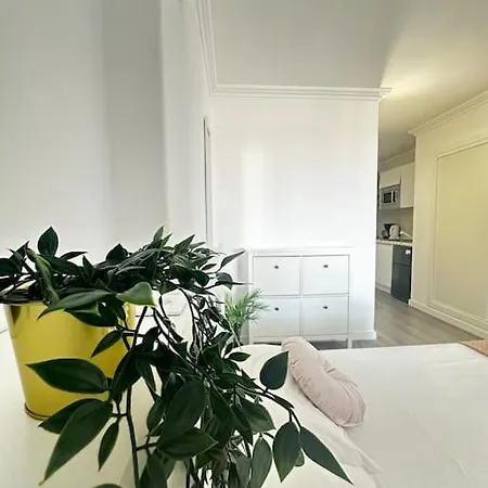 Apartment Shining Loft At Park Golf San Miguel de Abona