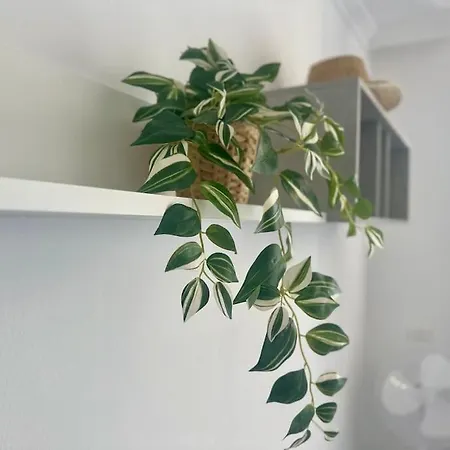 Apartment Shining Loft At Park Golf *