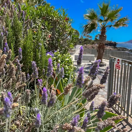 Paz Ocean View, Air Condition, Wifi, Heated Pool Apartment