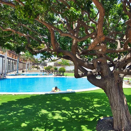 Ocean View Perfect Sunset Apartment, 4 137m2, Wifi & Bbq Apartment San Miguel de Abona