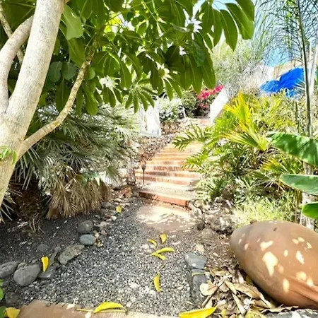 Jardines De Tamaide * San Miguel de Abona