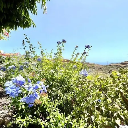 Jardines De Tamaide Villa San Miguel de Abona