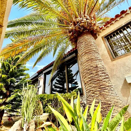 Holiday home Oceanfront - Amarilla Breeze