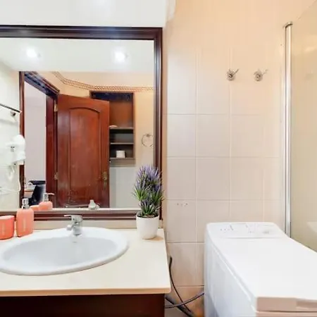 Albatros Park Apartment
