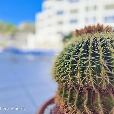 Apartment Mona's Point Tenerife - Aircon, Private Parking And Heated Pool *