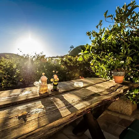 Country house Casas Alberto Teleworking (adults Only) San Miguel de Abona