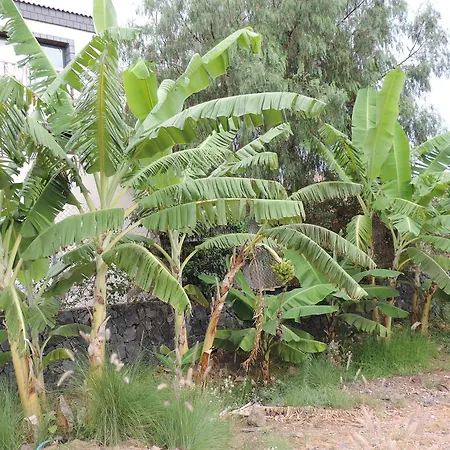 Parque Verde
